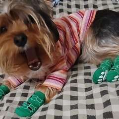 Фото отзыва 10497334