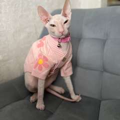 Фото отзыва 10616265