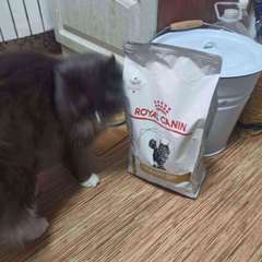 Фото отзыва 10763791