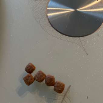 Корм сухой для собак PRO PLAN EVERYDAY NUTRITION 3 кг с курицей для мелких и карликовых пород: отзыв пользователя. Зоомагазин Зоозавр