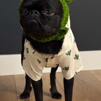 Ветровка для собак Зоозавр: отзыв пользователя. Зоомагазин Зоозавр