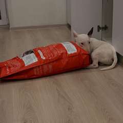 Фото отзыва 10487201