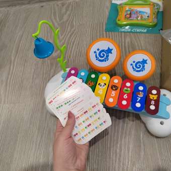 Игрушка музыкальная BabyGo Мини металлофон: отзыв пользователя Детский Мир