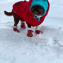 Фото отзыва 11078905