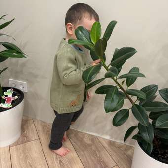 Рейтузы BabyGo: отзыв пользователя Детский Мир