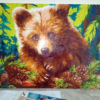 Картина по номерам Attivio Мишка: отзыв пользователя Детский Мир