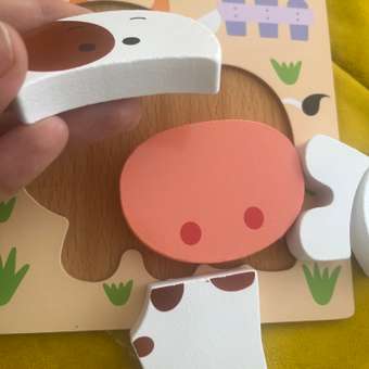 Пазл TrendToys для малышей набор 4 шт деревянный: отзыв пользователя Детский Мир