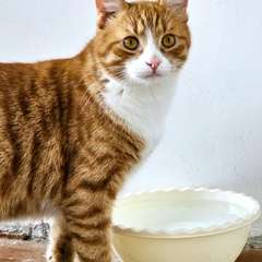 Фото отзыва 10798653