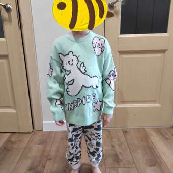 Джемпер Acoola: отзыв пользователя Детский Мир