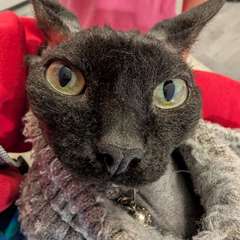 Фото отзыва 10431786