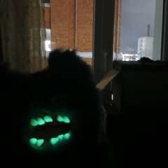 Фото отзыва 10939904