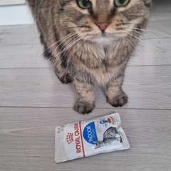 Фото отзыва 10946140