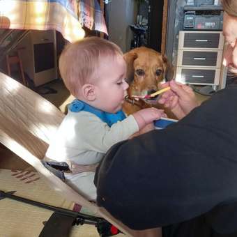 Пюре ФрутоНяня Индейка с 6 мес 80 г: отзыв пользователя Детский Мир