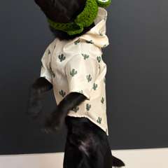 Фото отзыва 10948151