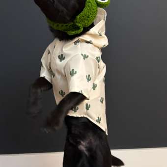 Ветровка для собак Зоозавр: отзыв пользователя. Зоомагазин Зоозавр