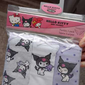 Трусы HELLO KITTY AND FRIENDS 3 шт: отзыв пользователя ДетМир