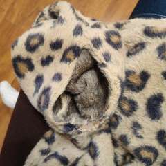 Фото отзыва 11003169