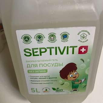 Средство для мытья посуды SEPTIVIT Без запаха 5л: отзыв пользователя Детский Мир