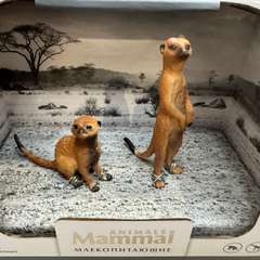 Фото отзыва 10757660