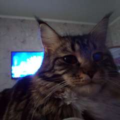 Фото отзыва 10527724