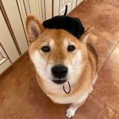 Фото отзыва 10448465