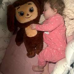 Фото отзыва 10714647