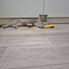 Фото отзыва 11011234