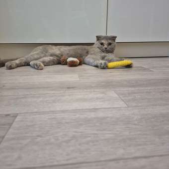 Игрушка для кошек Barbaks Мятный мышонок с мячом из ротанга и кошачьей мятой 11*9см: отзыв пользователя. Зоомагазин Зоозавр