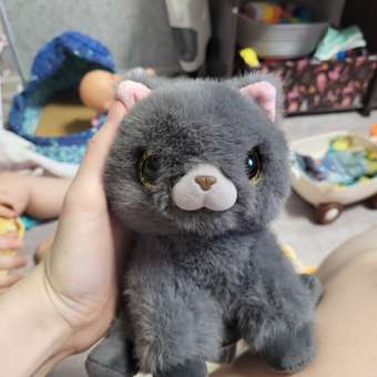 Мягкая игрушка Zuru Pets Alive Smitten Kittens в ассортименте: отзыв пользователя Детский Мир