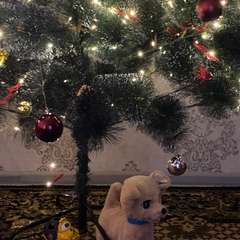 Фото отзыва 10857712