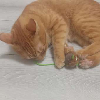 Игрушка для кошек Barbaks Мышь Сырогрыз с кошачьей мятой 16.5см: отзыв пользователя. Зоомагазин Зоозавр