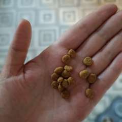 Фото отзыва 10433888