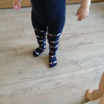 Колготки для мальчиков Calzini: отзыв пользователя Детский Мир