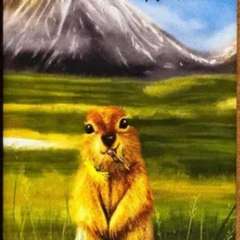 Фото отзыва 11048596