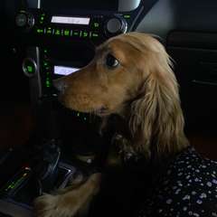 Фото отзыва 10458839