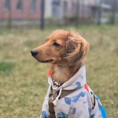 Фото отзыва 10821262