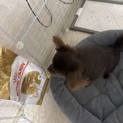 Фото отзыва 11180624