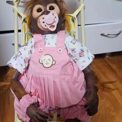 Фото отзыва 10640285