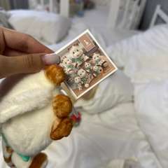 Фото отзыва 10551951