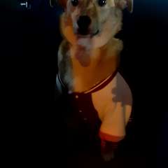 Фото отзыва 10873427