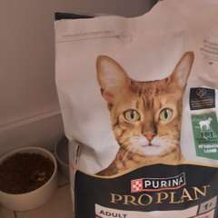 Фото отзыва 10721139