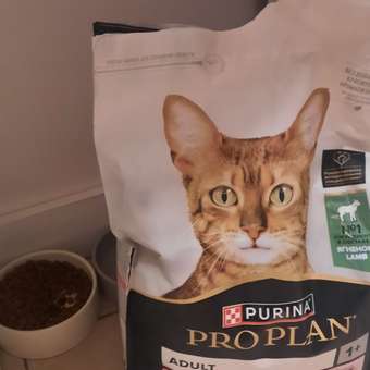 Корм сухой для кошек PRO PLAN 3кг с ягненком с чувствительным пищеварением: отзыв пользователя. Зоомагазин Зоозавр