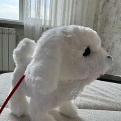 Фото отзыва 10758150