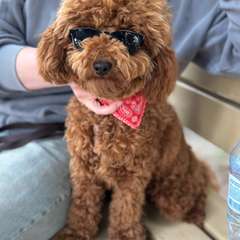 Фото отзыва 10290841