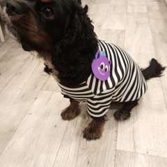 Фото отзыва 10704011