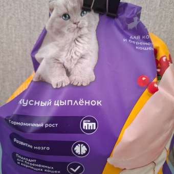 Корм для котят Pet-a-Pet 2кг с цыпленком: отзыв пользователя. Зоомагазин Зоозавр