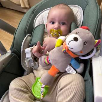Стульчик для кормления Babyton Combi Care Green: отзыв пользователя Детский Мир