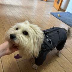 Фото отзыва 11173963