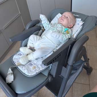 Стульчик для кормления Babyton Sweet Meals Grey серый: отзыв пользователя ДетМир