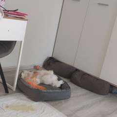 Видео отзыва 10787523